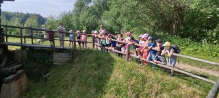 received_269420898992067_1024x460